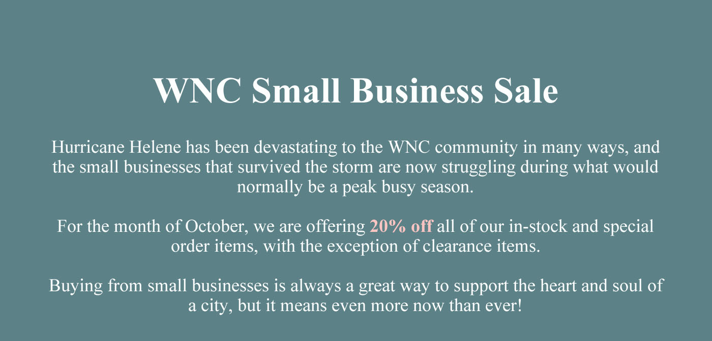 WNCsmallbusinesssalebanner